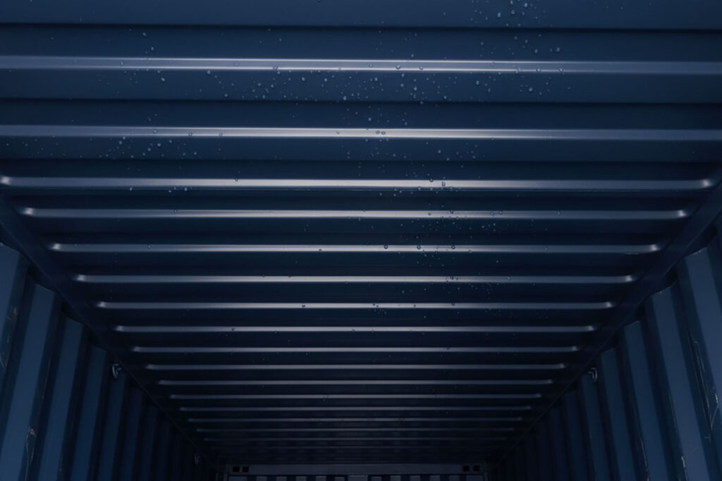 Moisture Damage in Global Shipping – Prevention Guide