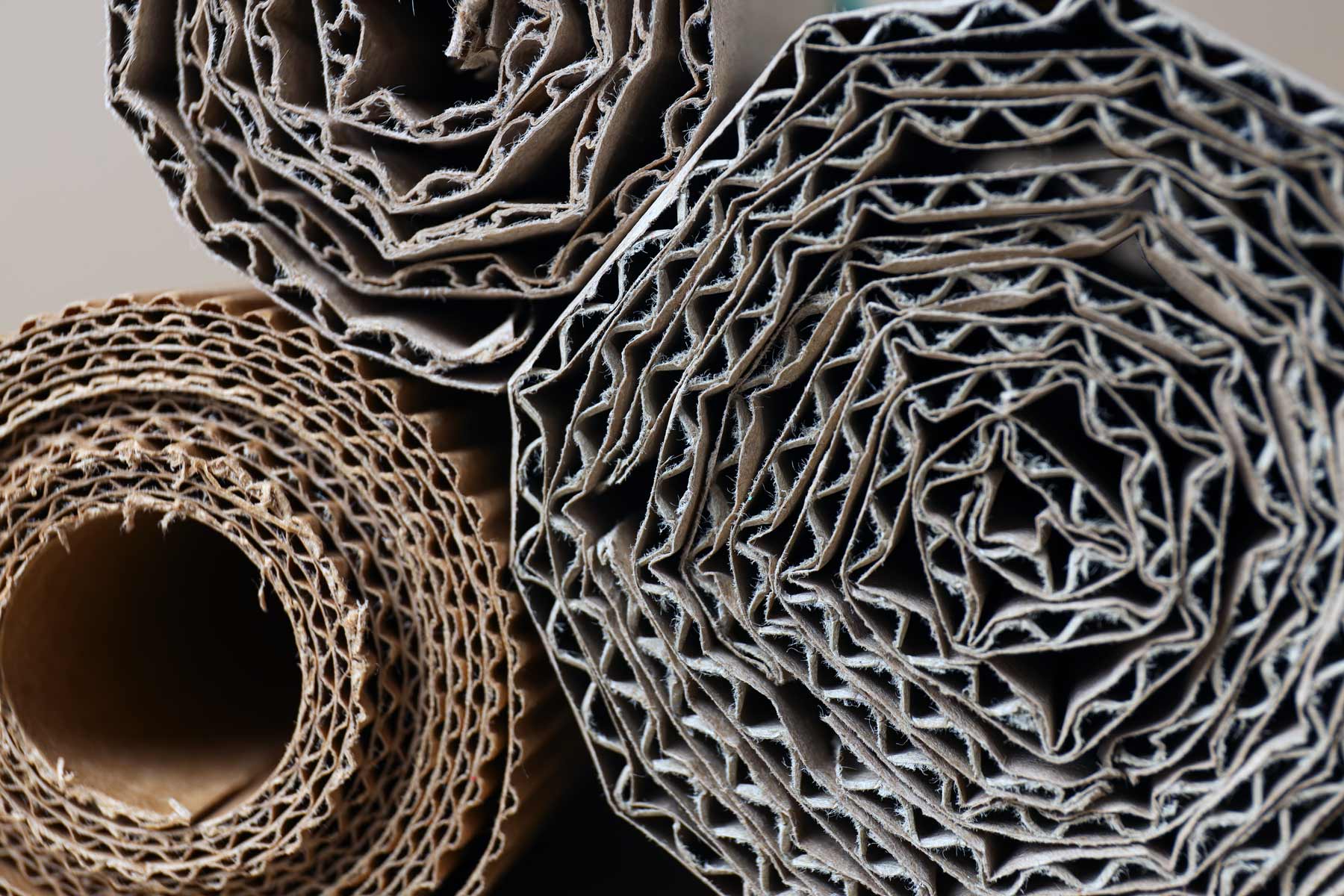 Close-up of rolled corrugated cardboard packaging material.